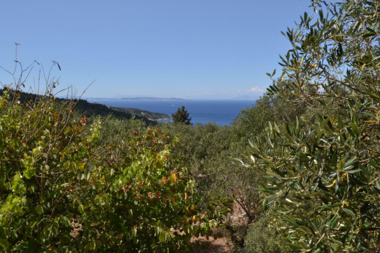 Villa Elaia Suites & Apartments No.1 Gaios Luaran gambar