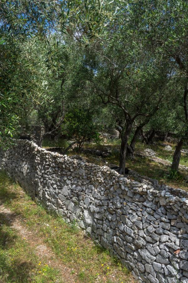 Villa Elaia Suites & Apartments No.1 Gaios Luaran gambar
